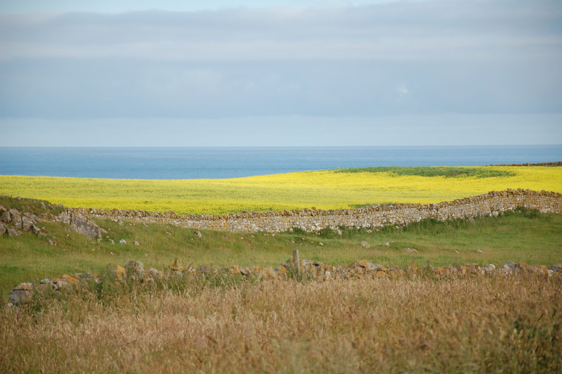 2009-07-14_243.JPG
