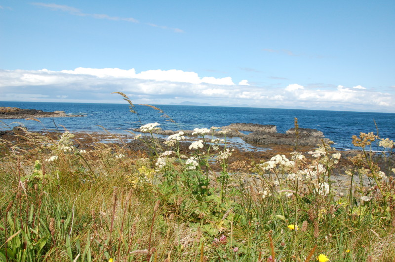 2009-07-17_415.JPG